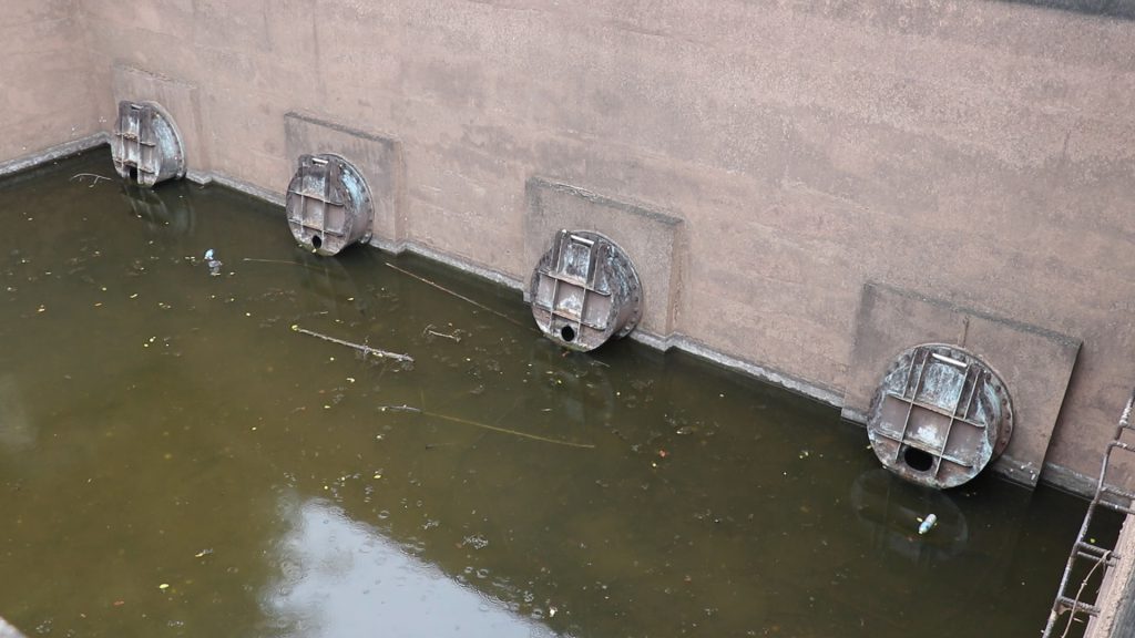 Image11