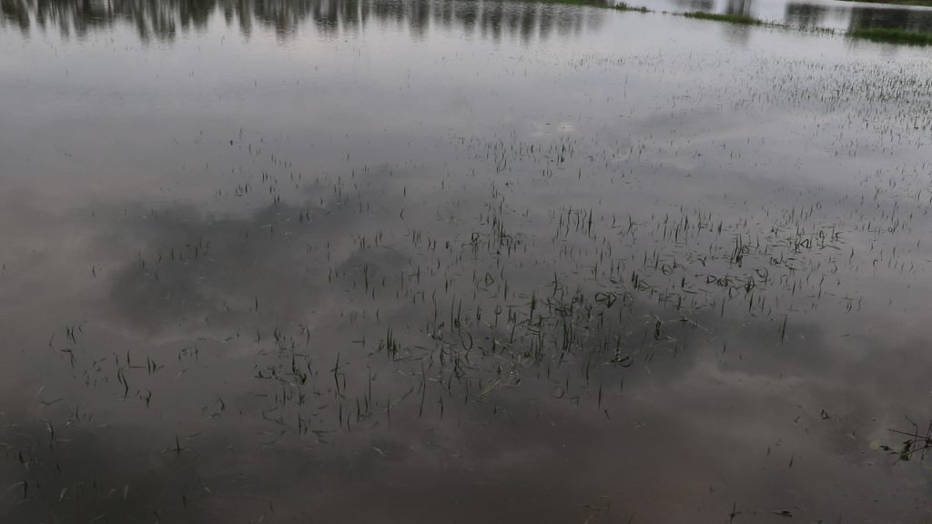 Image62