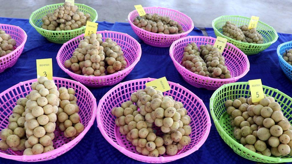 ผู้ว่าฯ "สันติ" เปิดงานวันตลาดผลไม้ตำบลน้ำริด ประชาสัมพันธ์และส่งเสริมผลไม้ชาวสวนออกสู่ตลาด เข้าถึงผู้บริโภคมากขึ้น กระตุ้นเศรษฐกิจ สร้างโอกาสช่องทางระบายสินค้าเพิ่มมูลค่าผลผลิตแก่เกษตรกร 18 Image1