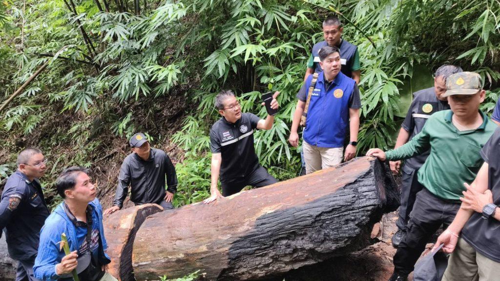 Image5 1